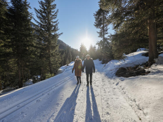 Winterwanderweg Sattele