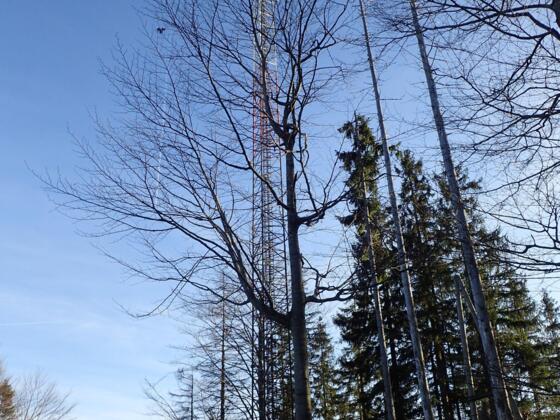 Sendemast am Sonnberg-Nebengipfel