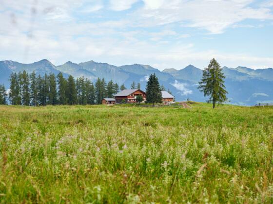 Alpe Rona auf dem Hochplateau Tschengla