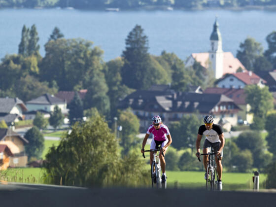 Rennradtour bei Seeham am Obertrumersee