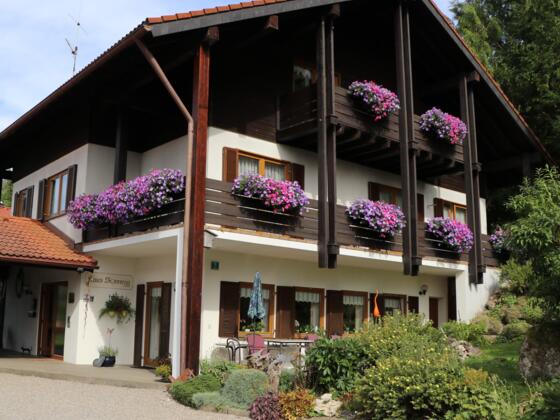 IMG_2927 - Kopie (2)