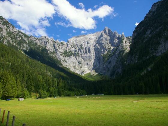 Scharitzkehlalm