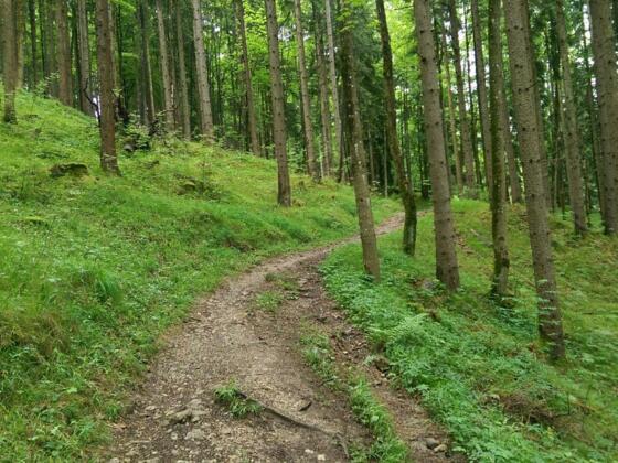 Neuer Kobelweg