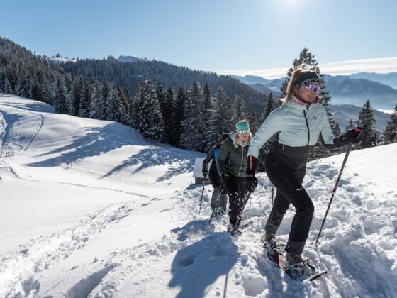 Schneeschuhwandern am Hörnle