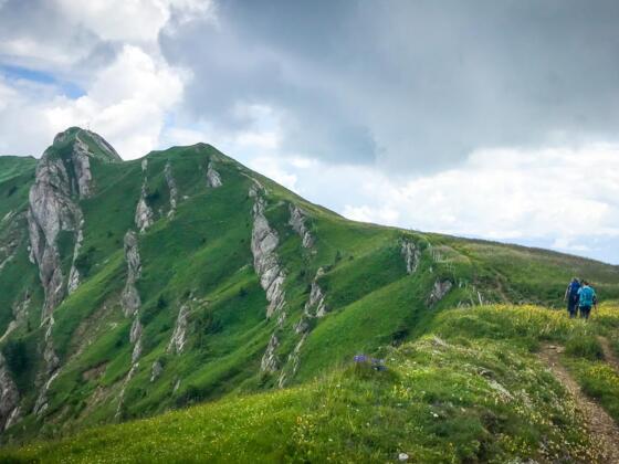 Genusswandern und Wellness im Allgäu