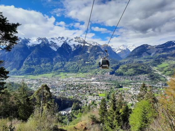 Frühlingserwachen am Muttersberg