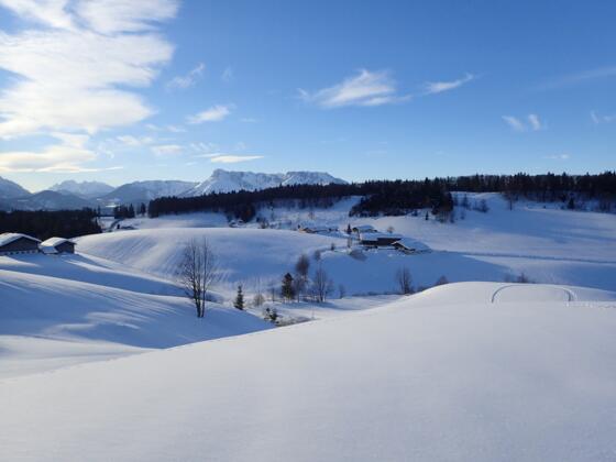 Tiefer Winter in Krispl