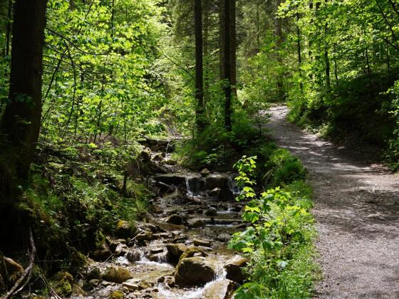Logenplatz-Route Wasserfallweg