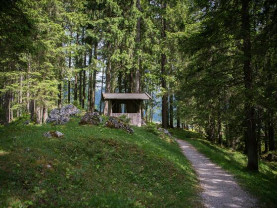 Moserpromenade im Kellerwald