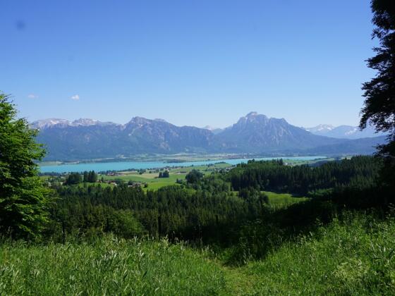 Logenplatz-Route