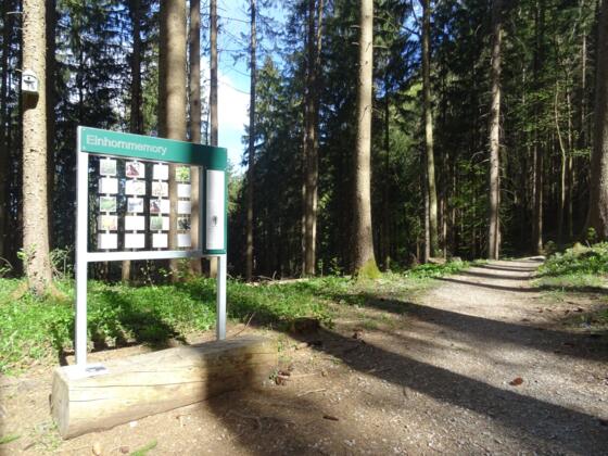 Memory-Spiel am Montikel