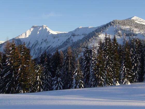 Am Tanzboden, Ausblick zum Schmittenstein und Schlenken