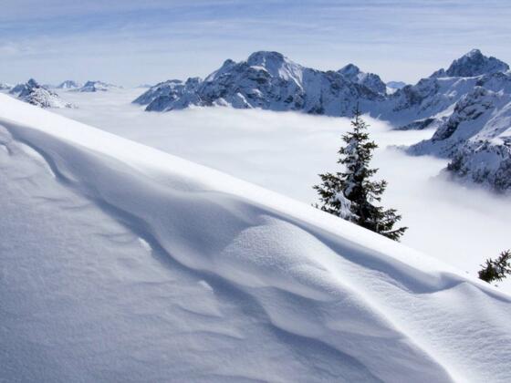 Über den Wolken: Blick zu Großer Schlicke und Gehrenspitze.