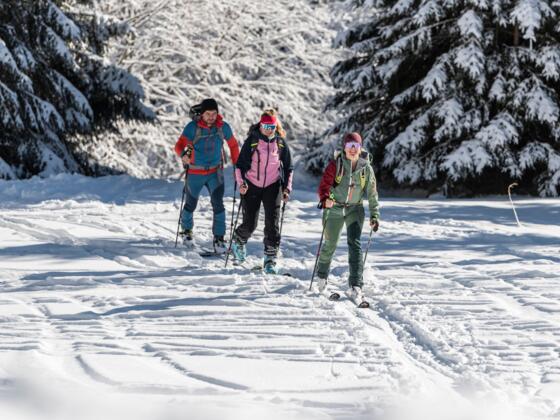Skitour Naturpark