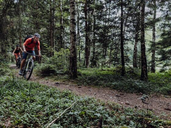 Naturbiken Trail @Allgäu GmbH, Martin Erd