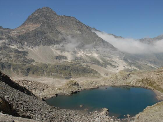 Hohe Wilde