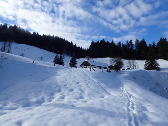 Mittereggalm