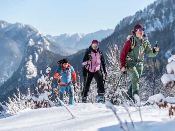 Skitour Kolbensattel