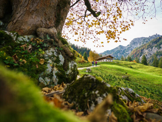 Die Ragert Alm