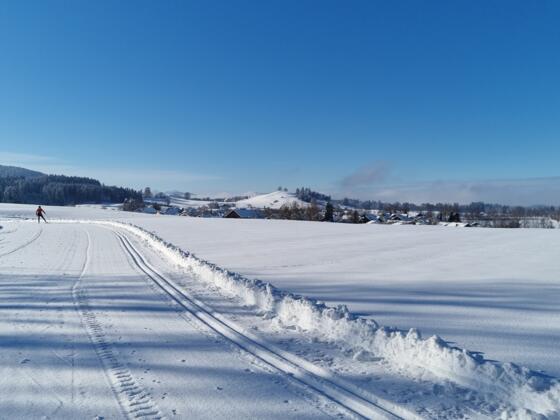 Schönau-Berg Runde