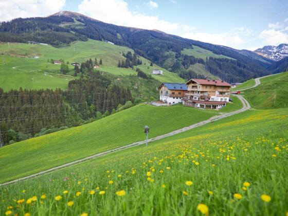 Der Perfeldhof inmitten des Wanderparadies Saalbach-Hinterglemm