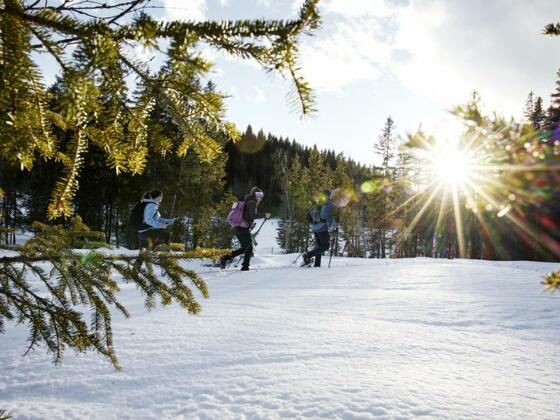 Schneeschuhwanderung am Wasenmoos