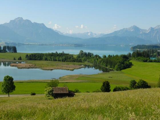 Panorama während der Tour: Der Forggensee bei Füssen