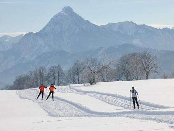 Ski-Langlauf in Weißensee mit Panoramablick auf den Säuling