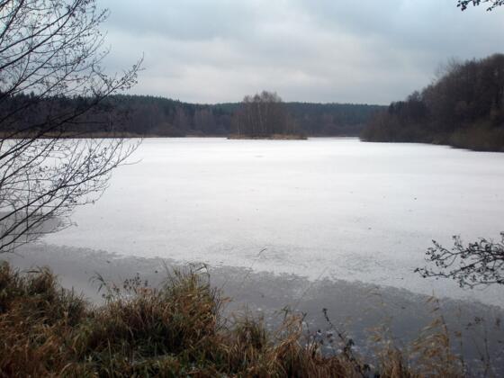 Schupfenteich