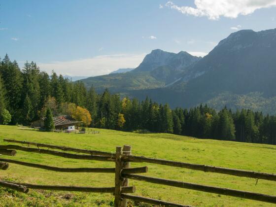 Bäckeralm
