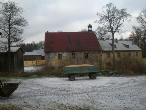 Altenhammer