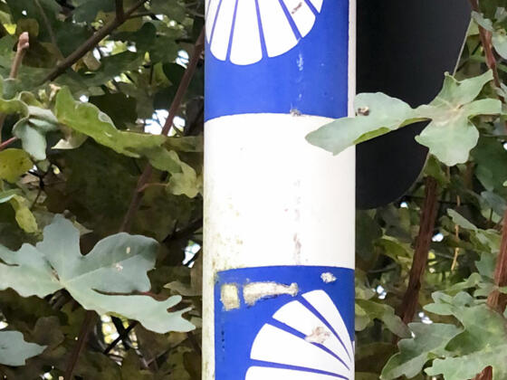 Wegzeichen Steigerwälder Jakobsweg