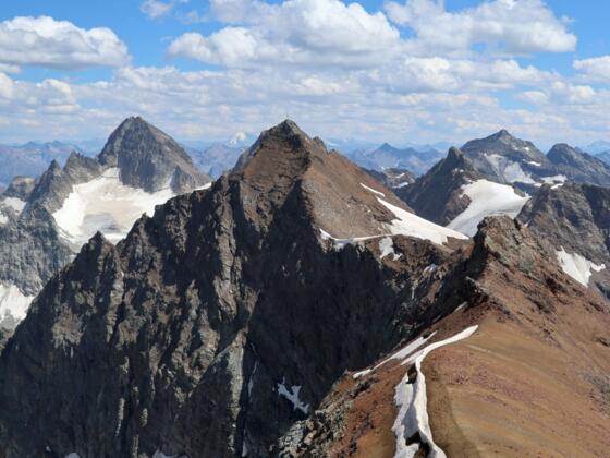 Rückblick von der Schneeglocke auf Silvrettahorn und Piz Buin
