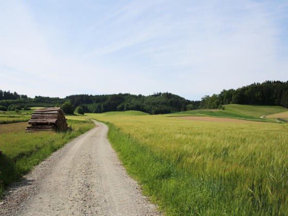 Schöner Wanderweg