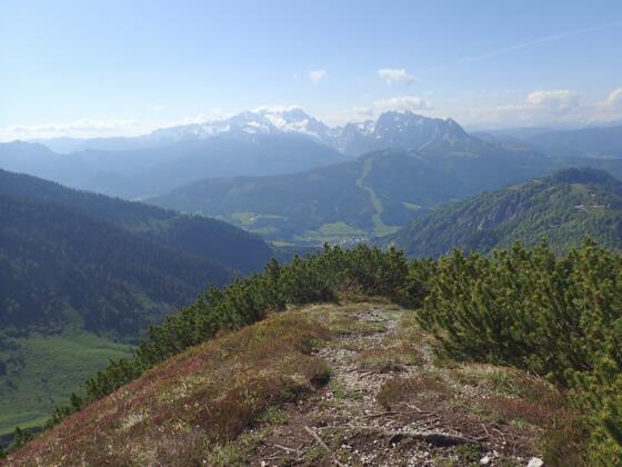 Ausblick vom Moosbergriedel Richtung Dachstein - Gosaukamm