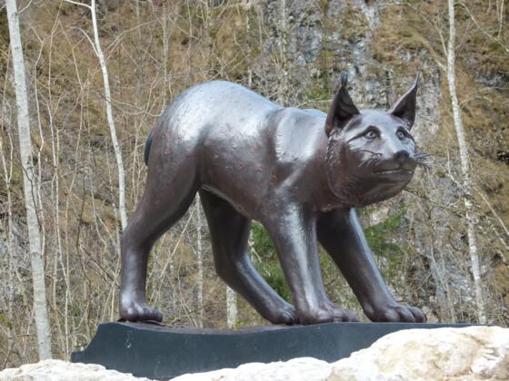 Luchs Denkmal im Nationalpark Kalkalpen