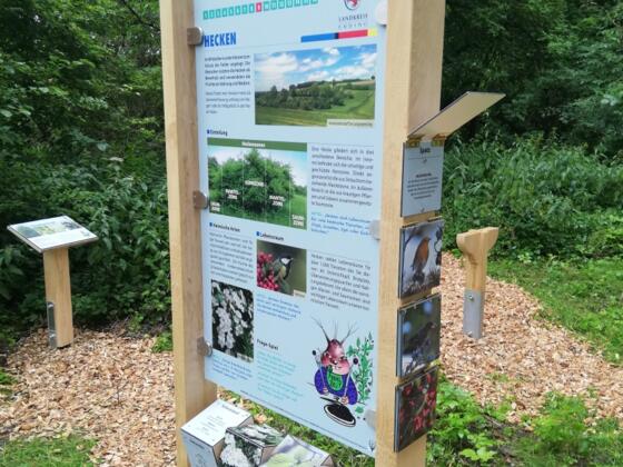 Naturlehrpfad Notzinger Weiher