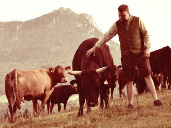 Bio Wagyu Rind Brandstatthof