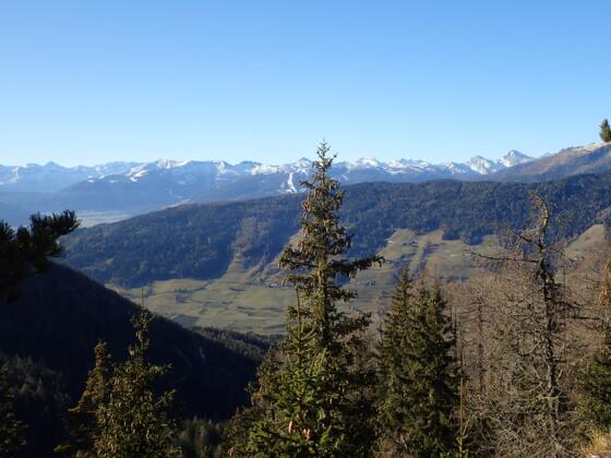 Ausblick vom Lärchriegel nach Westen