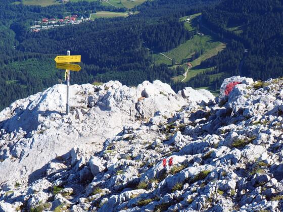 Wegteilung, links Kehlstein-, rechts Purtschellerhaus