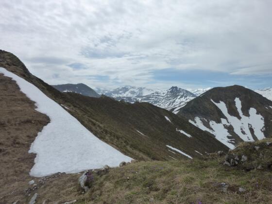 Im Sattel zwischen Draugstein und Scheibenkogel