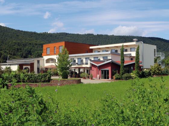 Weingut Helmstetter und Main-Vinotel