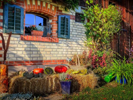 Beispiel Bild Hofladen