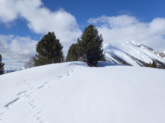 Sattelkogel mit Preber