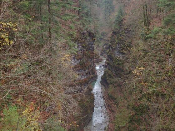 Blick vom Hohen Steg in die Tauglschlucht