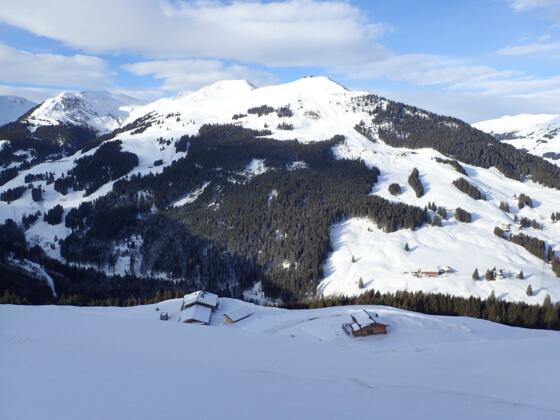 Stiegeralm, 1487 m