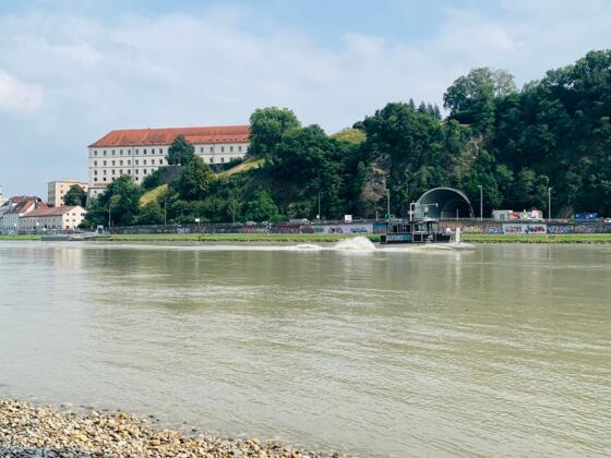 Donaubus