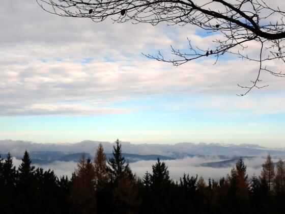 Godererkogel 822m, Blick zum Bayrischen Wald