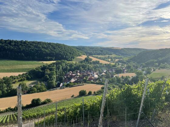 Blick auf Tauberzell