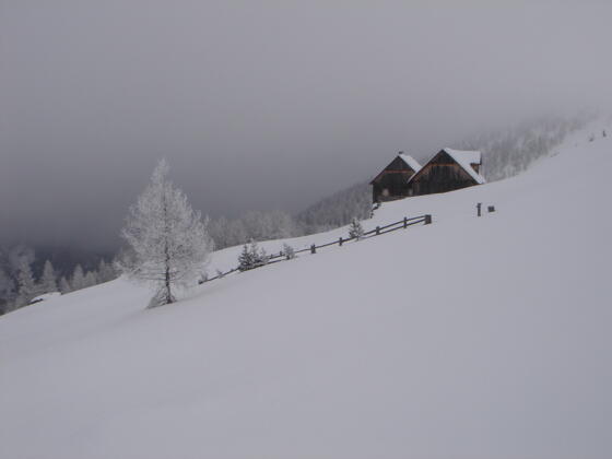 Fallthoralm oder Faltoralm